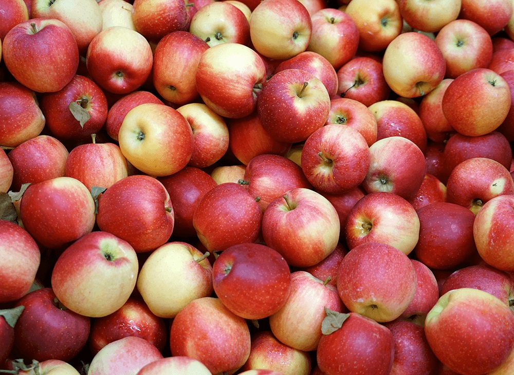 Jak kupić dobre polskie jabłka?