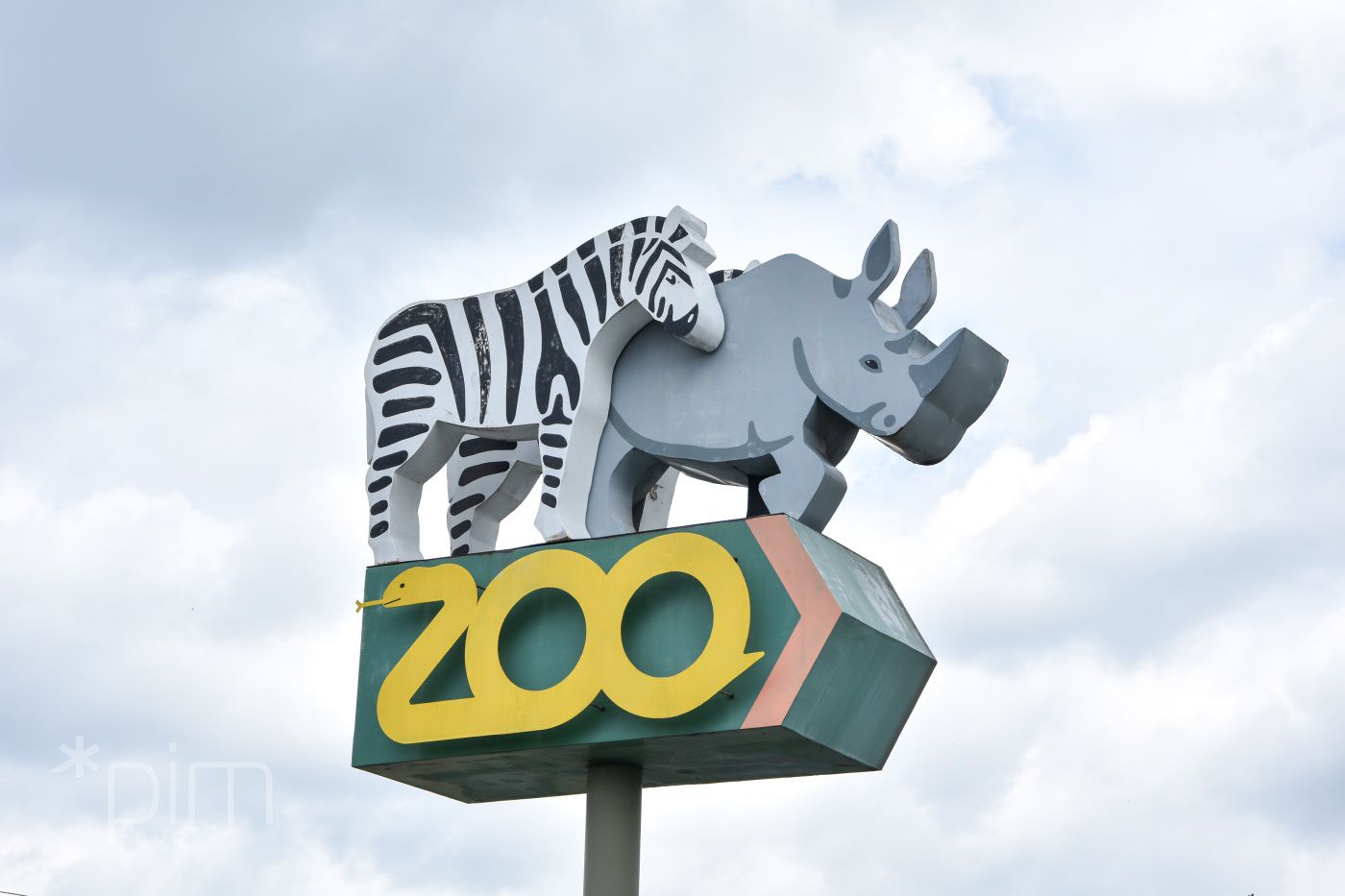 Zoo Poznań w czasie ferii – atrakcje online i stacjonarnie